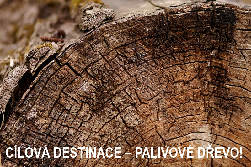 Preventivn&iacute; o&scaron;etřen&iacute; kulatin a hraněn&eacute;ho dřeva. Ochrana proti poprask&aacute;n&iacute;, trhlin&aacute;m, modr&aacute;n&iacute; a tmavnut&iacute;. Připraveno k použit&iacute;. iBiotec BIO PROTECT 450. O&scaron;etřen&iacute; dřeva. Ochrana proti prasklin&aacute;m. Ochrana proti trhlin&aacute;m. Ochrana proti modr&aacute;n&iacute; dřeva. Ochrana proti tmavnut&iacute; dřeva. Vhodn&eacute; pro zpracov&aacute;n&iacute; dřeva Vhodn&eacute; pro prvotn&iacute; zpracov&aacute;n&iacute; dřeva